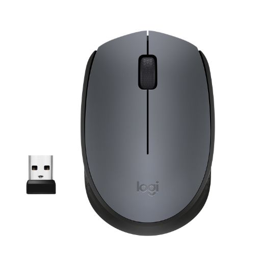 תמונה של עכבר אלחוטי Logitech Mouse M170 Wireless בצבע אפור